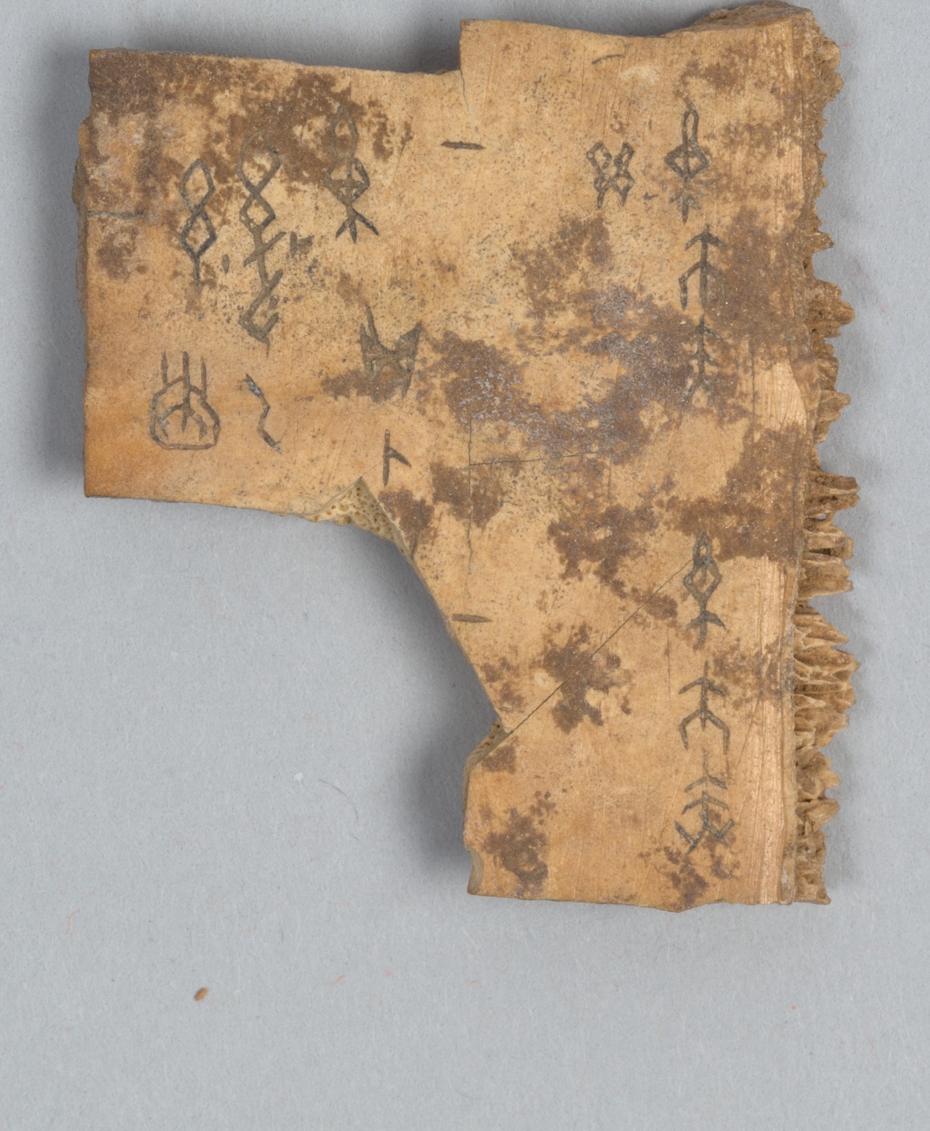 Inscribed face of a Shang dynasty divining-bone fragment