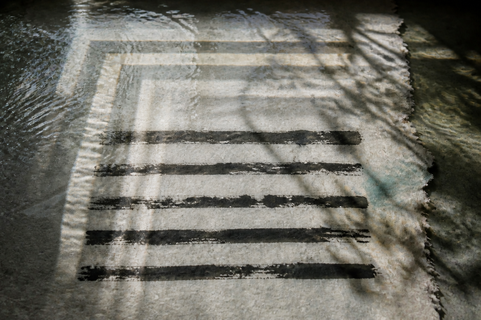 Ink traces on handmade paper beneath moving water and branching shadows