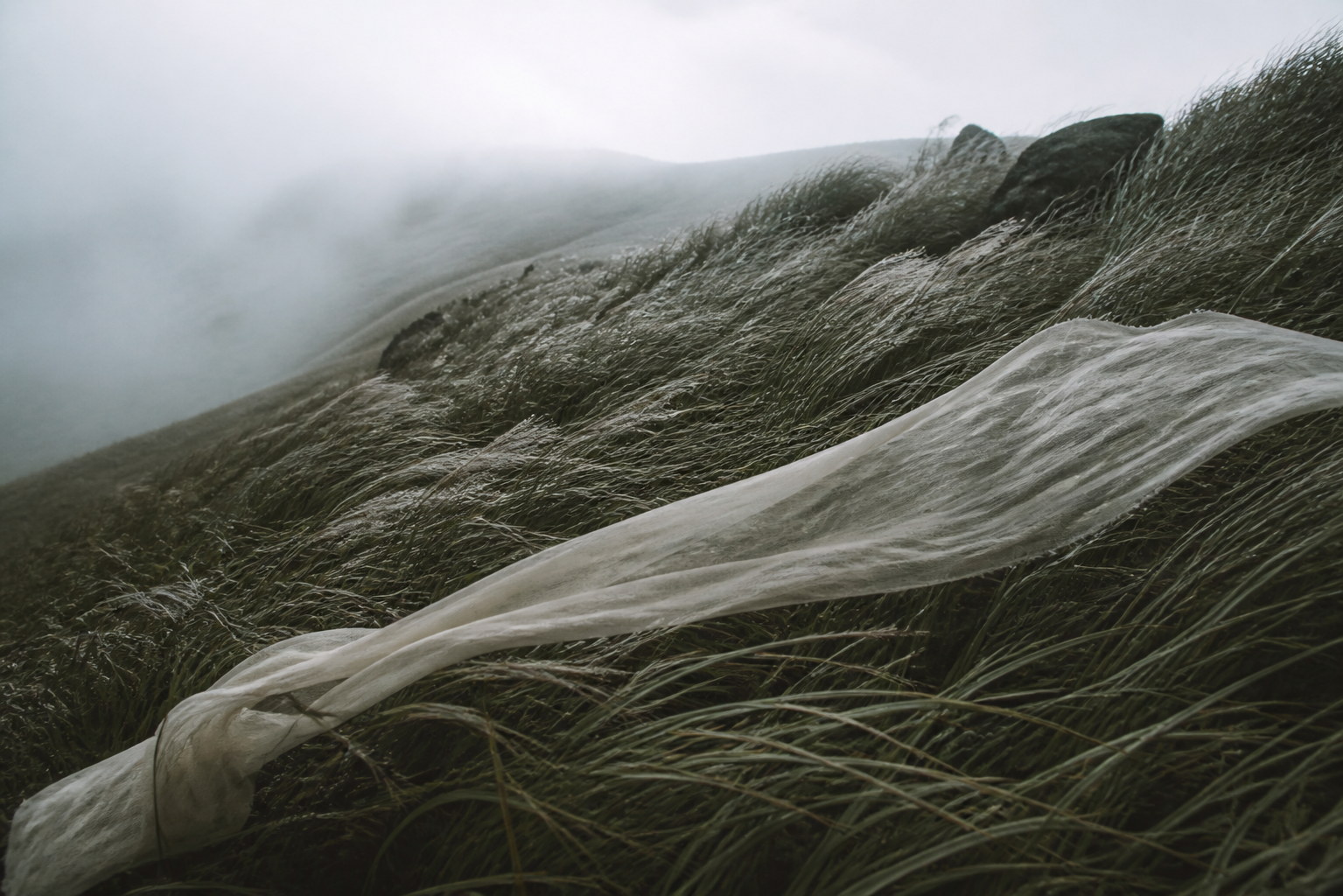 Wind bends highland grass around a length of translucent natural cloth